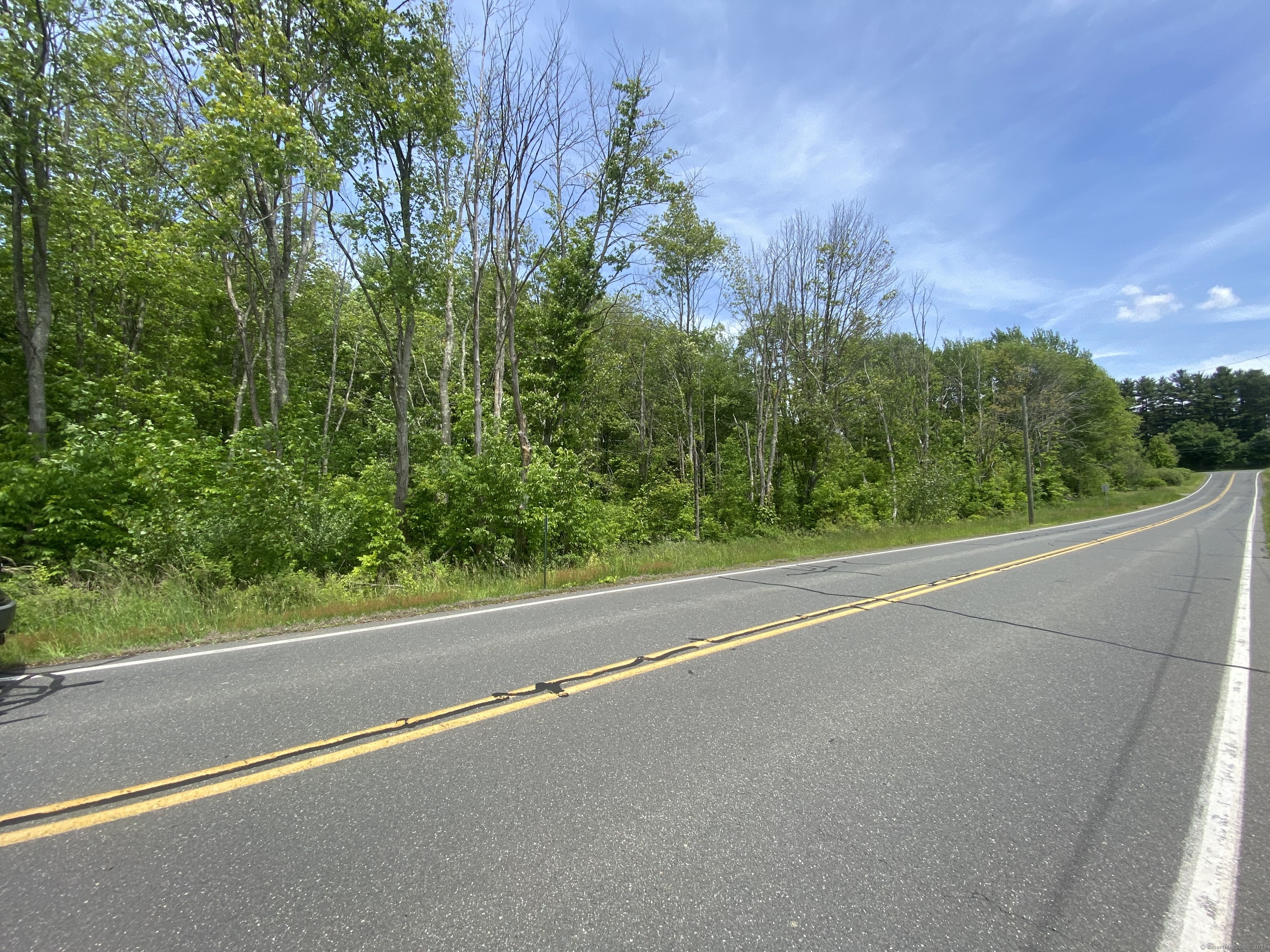 a view of a green field with potted plants