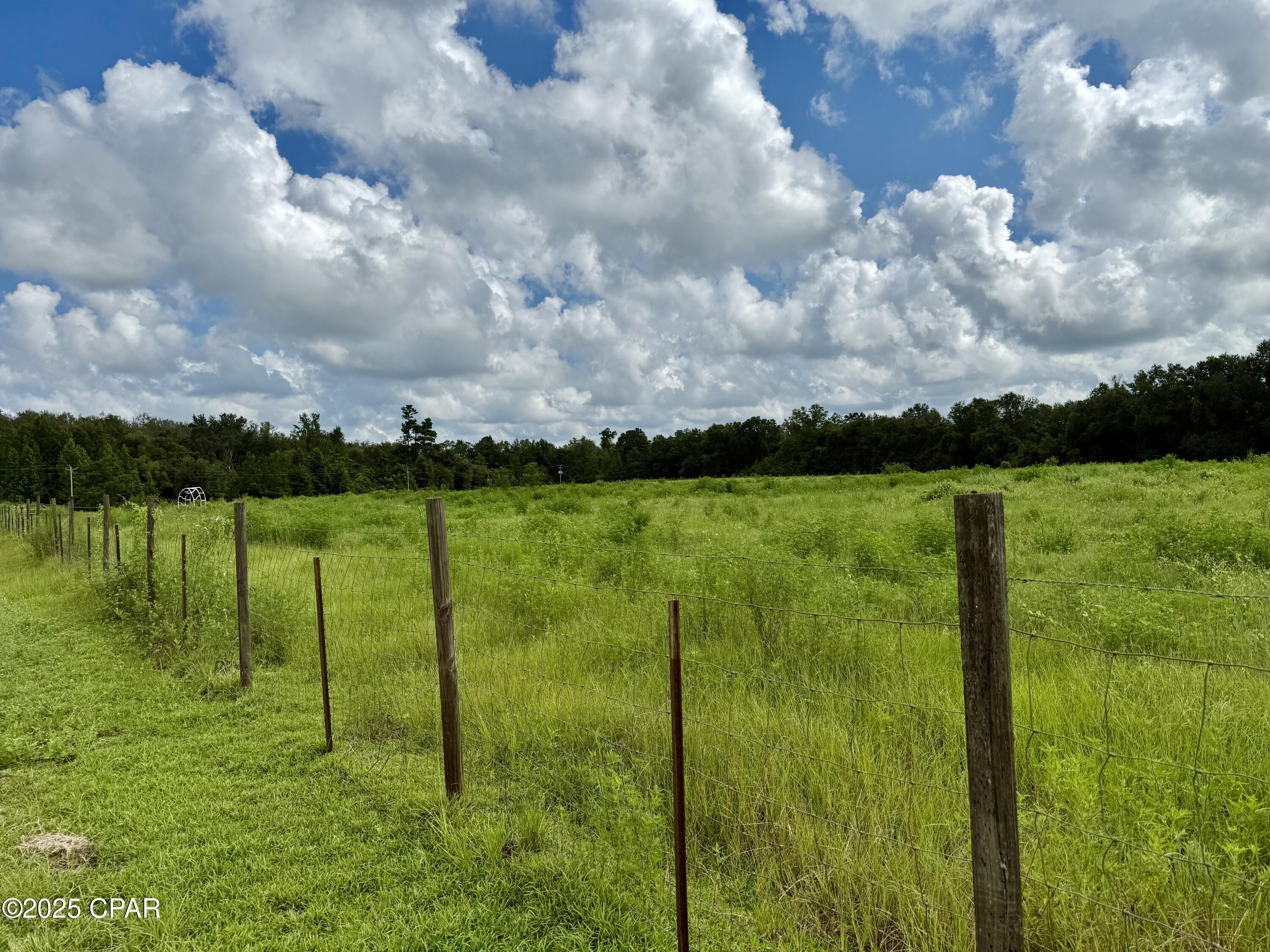 3560 Peanut Road Cottondale, FL 32431 - Photo 12 of 45 Gallery Image 12