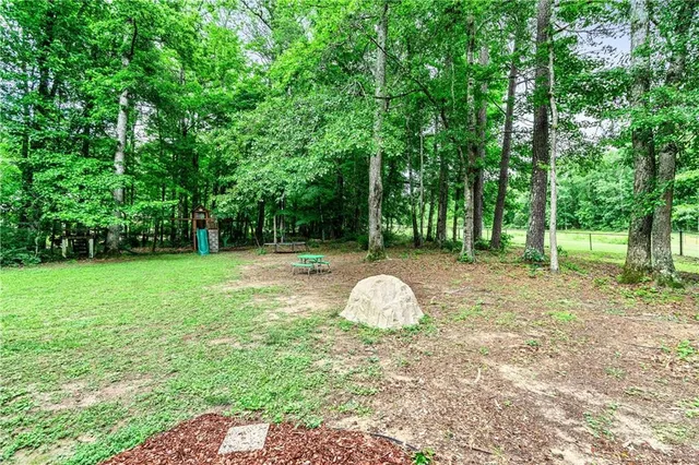 a view of a garden with a tree