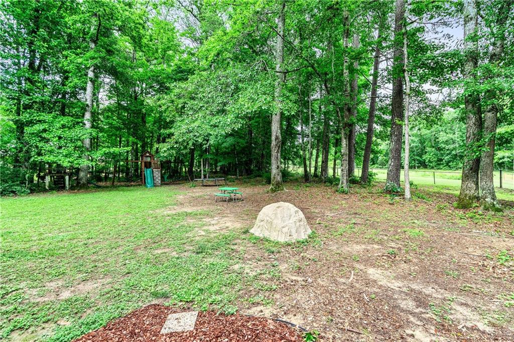 135 Crimson Ridge Tyrone, GA 30290 - Photo 47 of 53 a view of a table and a trees in the park