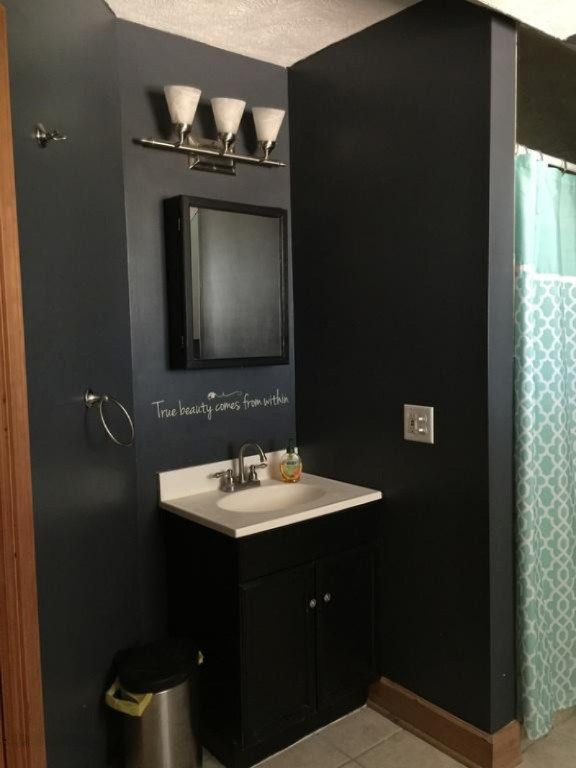 2516 Musson Road Northwest Stanton, MI 48888 - Photo 11 of 17 master bath