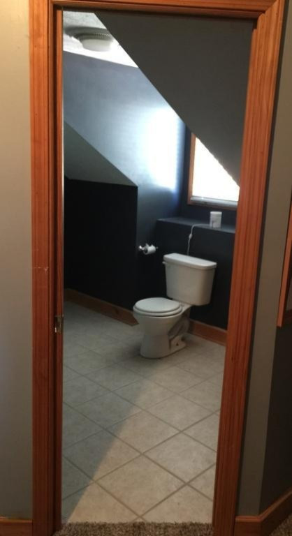 2516 Musson Road Northwest Stanton, MI 48888 - Photo 12 of 17 master bath