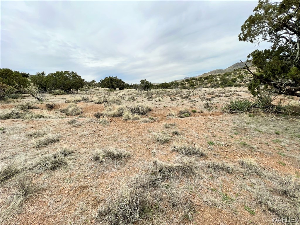2280 Kelly Road Kingman, AZ 86401 - Photo 11 of 33 a view of a field with trees in the background