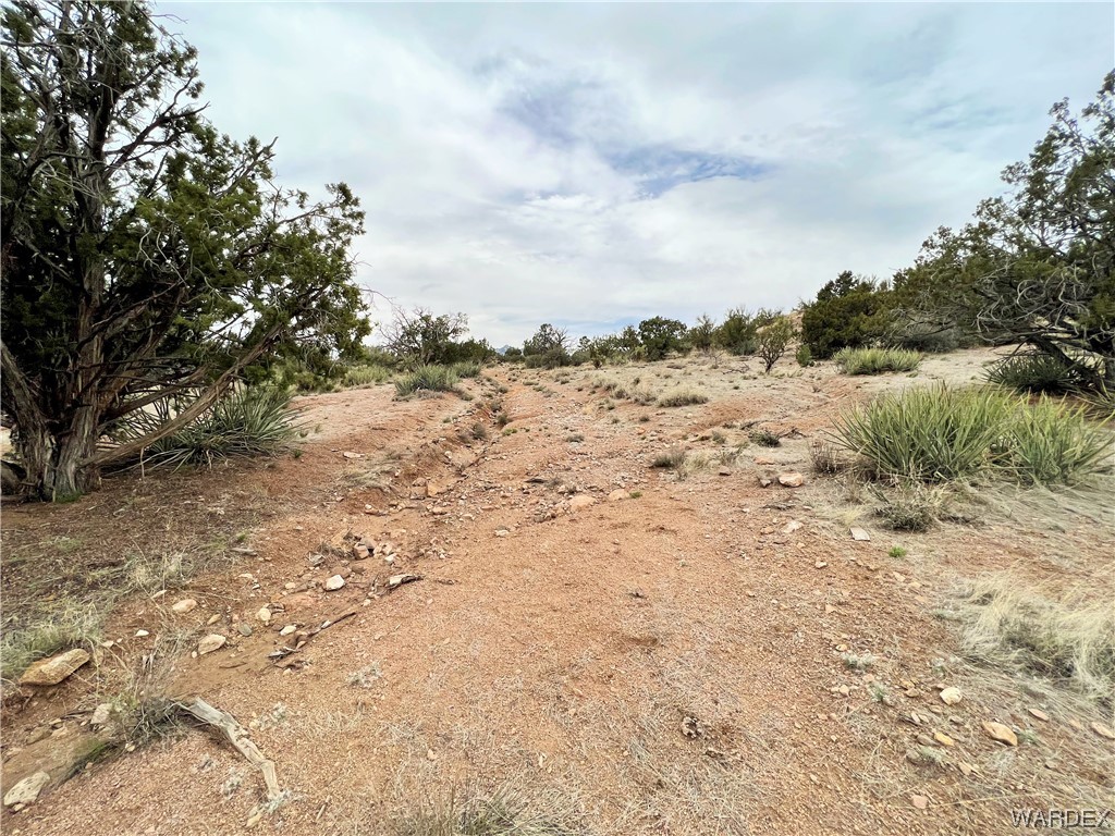 2280 Kelly Road Kingman, AZ 86401 - Photo 13 of 33 a view of a dry yard with trees
