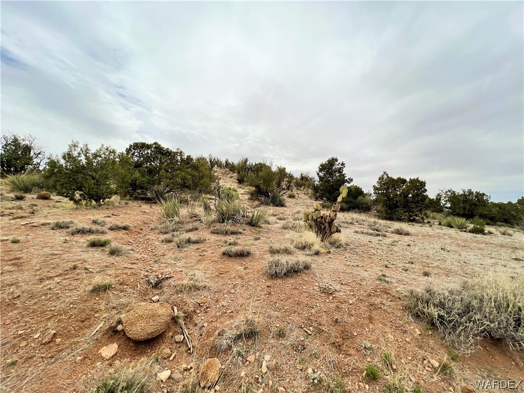 2280 Kelly Road Kingman, AZ 86401 - Photo 14 of 33 a view of outdoor space with trees in the background
