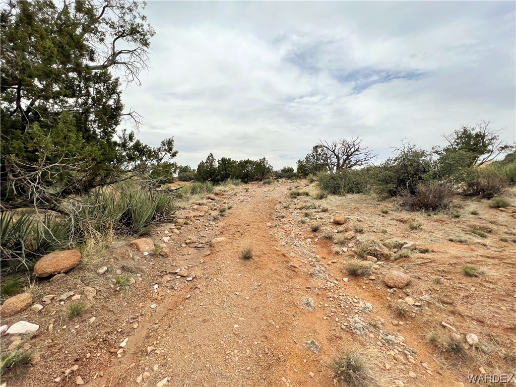 2280 Kelly Road Kingman, AZ 86401 - Photo 15 of 33 a view of a covered with snow in the background