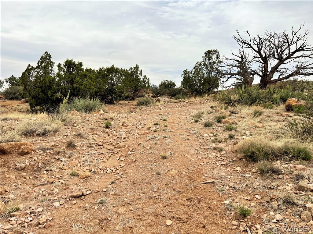 2280 Kelly Road Kingman, AZ 86401 - Photo 16 of 33 a view of a yard with a tree