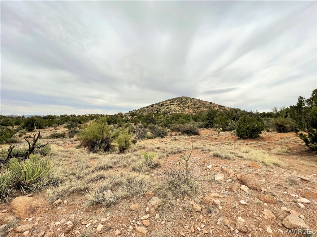 2280 Kelly Road Kingman, AZ 86401 - Photo 17 of 33 a view of a dry yard with green space