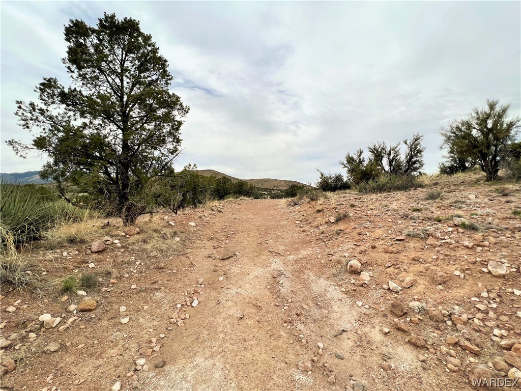 2280 Kelly Road Kingman, AZ 86401 - Photo 18 of 33 a view of a yard with a tree