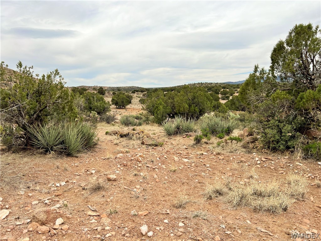 2280 Kelly Road Kingman, AZ 86401 - Photo 20 of 33 a view of a dry yard with wooden fence