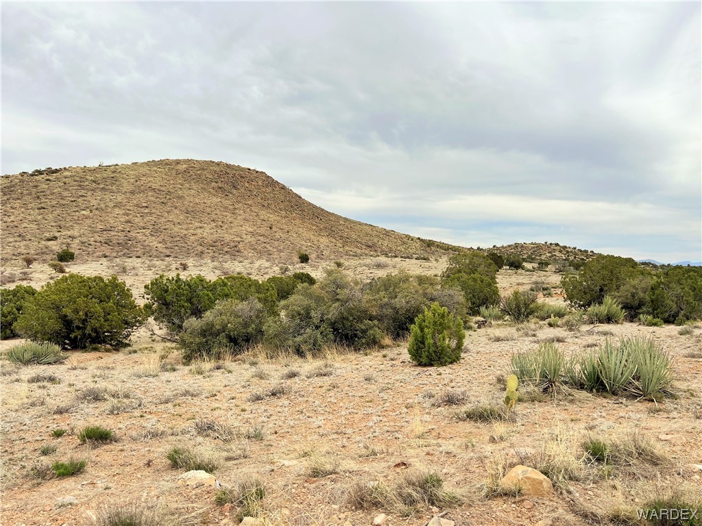 2280 Kelly Road Kingman, AZ 86401 - Photo 29 of 33 a view of a dry yard with mountains