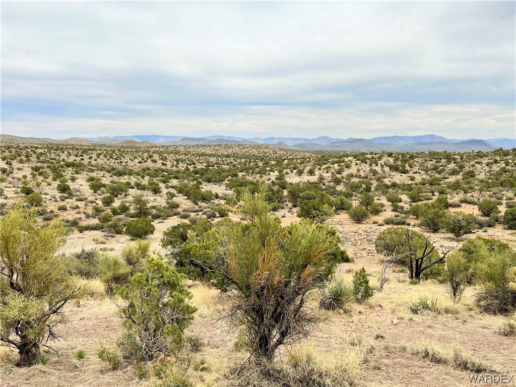 2280 Kelly Road Kingman, AZ 86401 - Photo 5 of 33 a view of city and mountain
