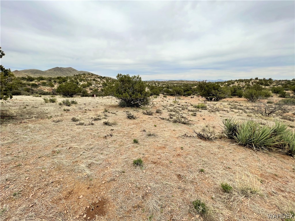 2280 Kelly Road Kingman, AZ 86401 - Photo 8 of 33