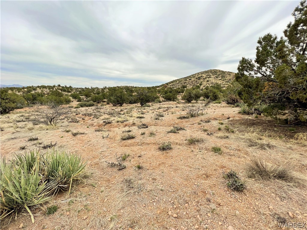 2280 Kelly Road Kingman, AZ 86401 - Photo 9 of 33 a view of a dry yard with wooden fence