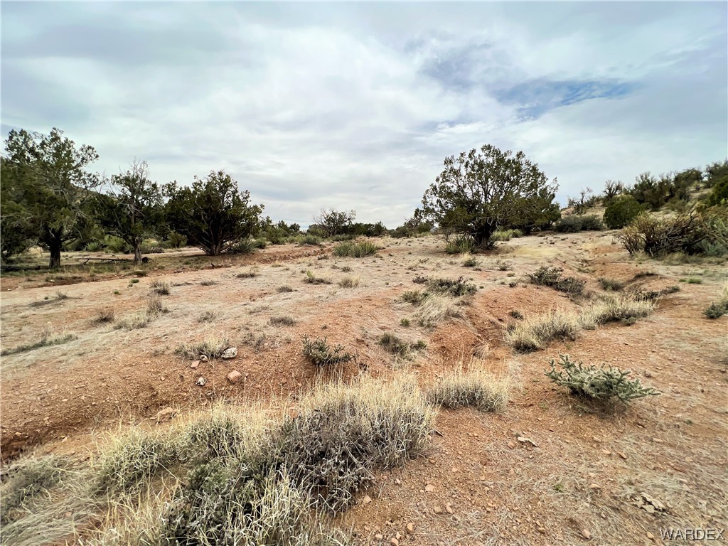 2280 Kelly Road Kingman, AZ 86401 - Photo 10 of 33