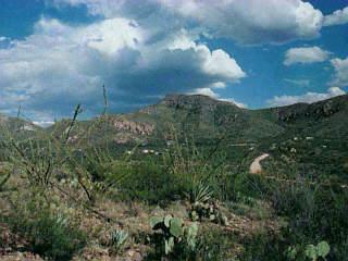0 East Hilton Ranch Road Tucson, AZ 85747 - Photo 2 of 5