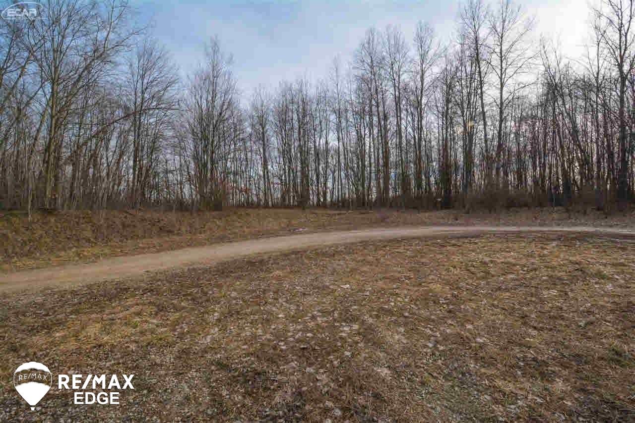 0 Timberwolf Court Fenton, MI 48430 - Photo 2 of 8