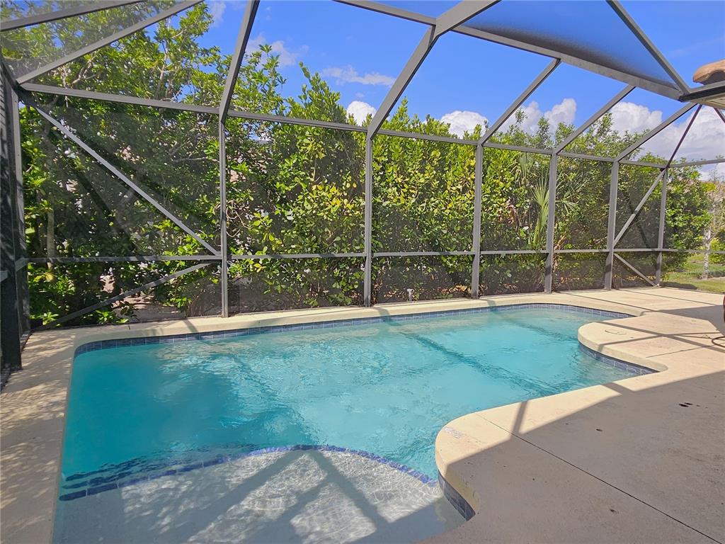175 Braemar Avenue Venice, FL 34293 - Photo 2 of 40 a view of a backyard