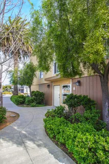 a view of a garden with plants and large trees