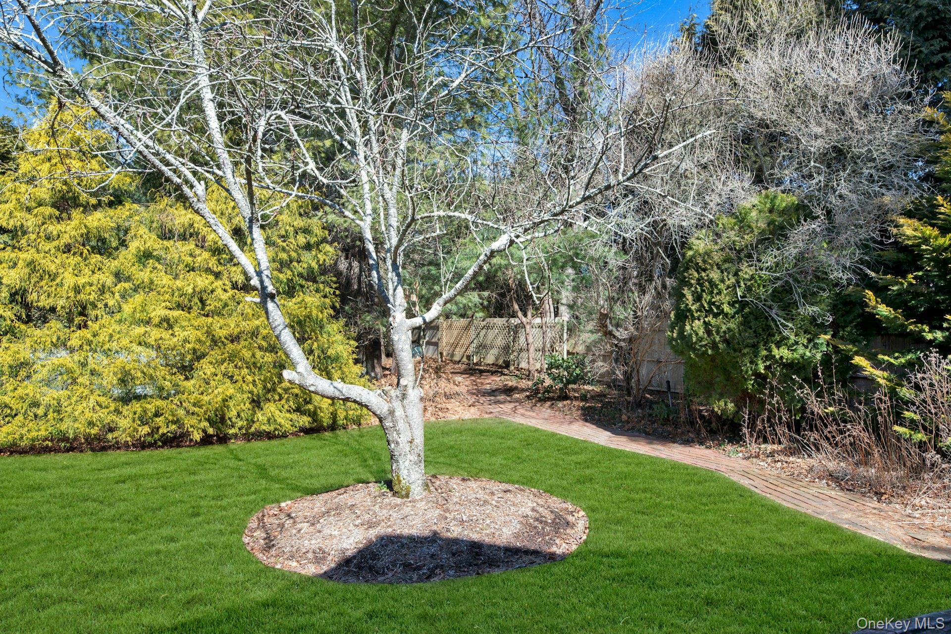 94 South Country Road Remsenburg, NY 11960 - Photo 16 of 40 Park Like Landscaping