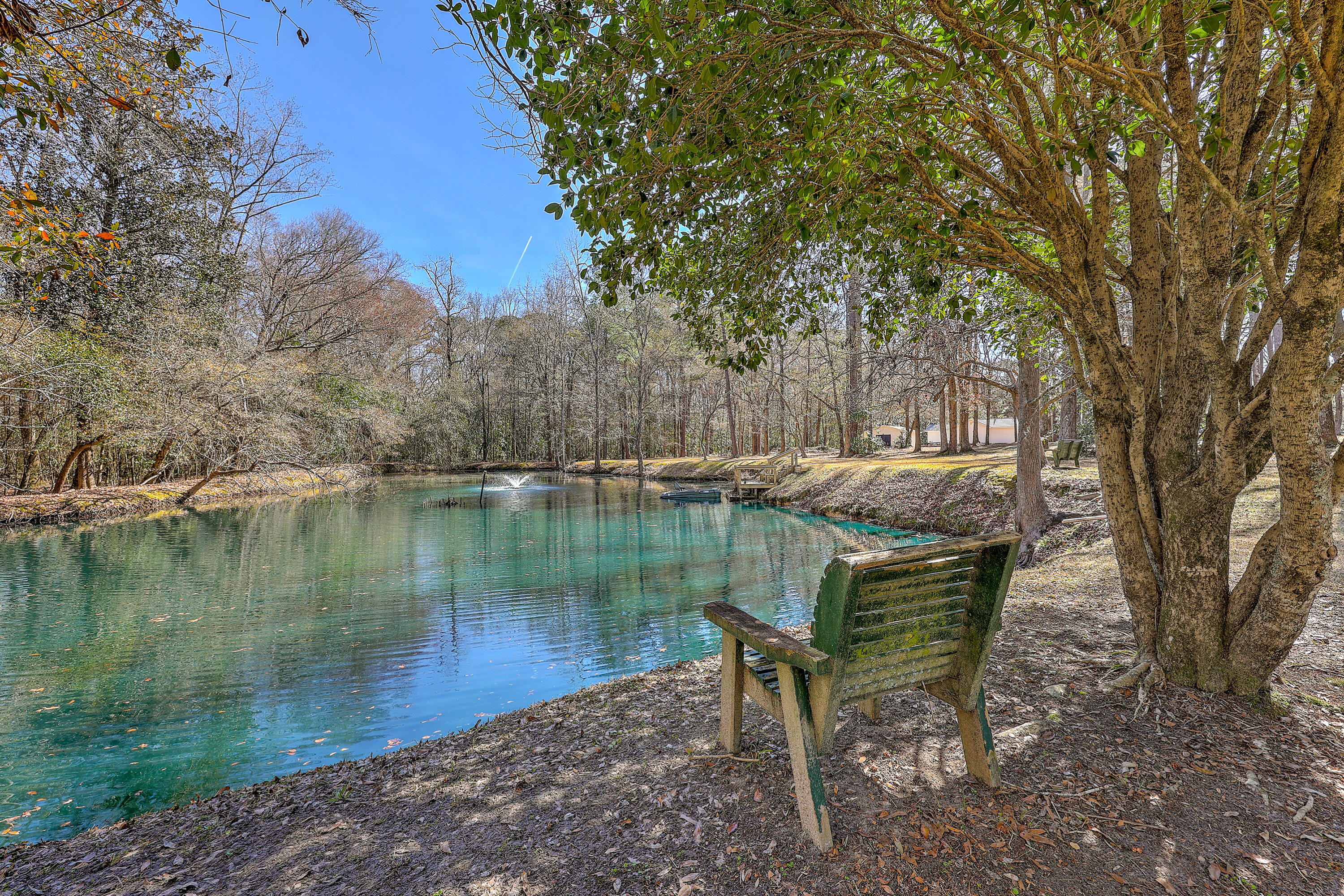 148 Patrick Lane Summerville, SC 29483 - Photo 3 of 48 ZYN_3830_1_2_3_4_5_6