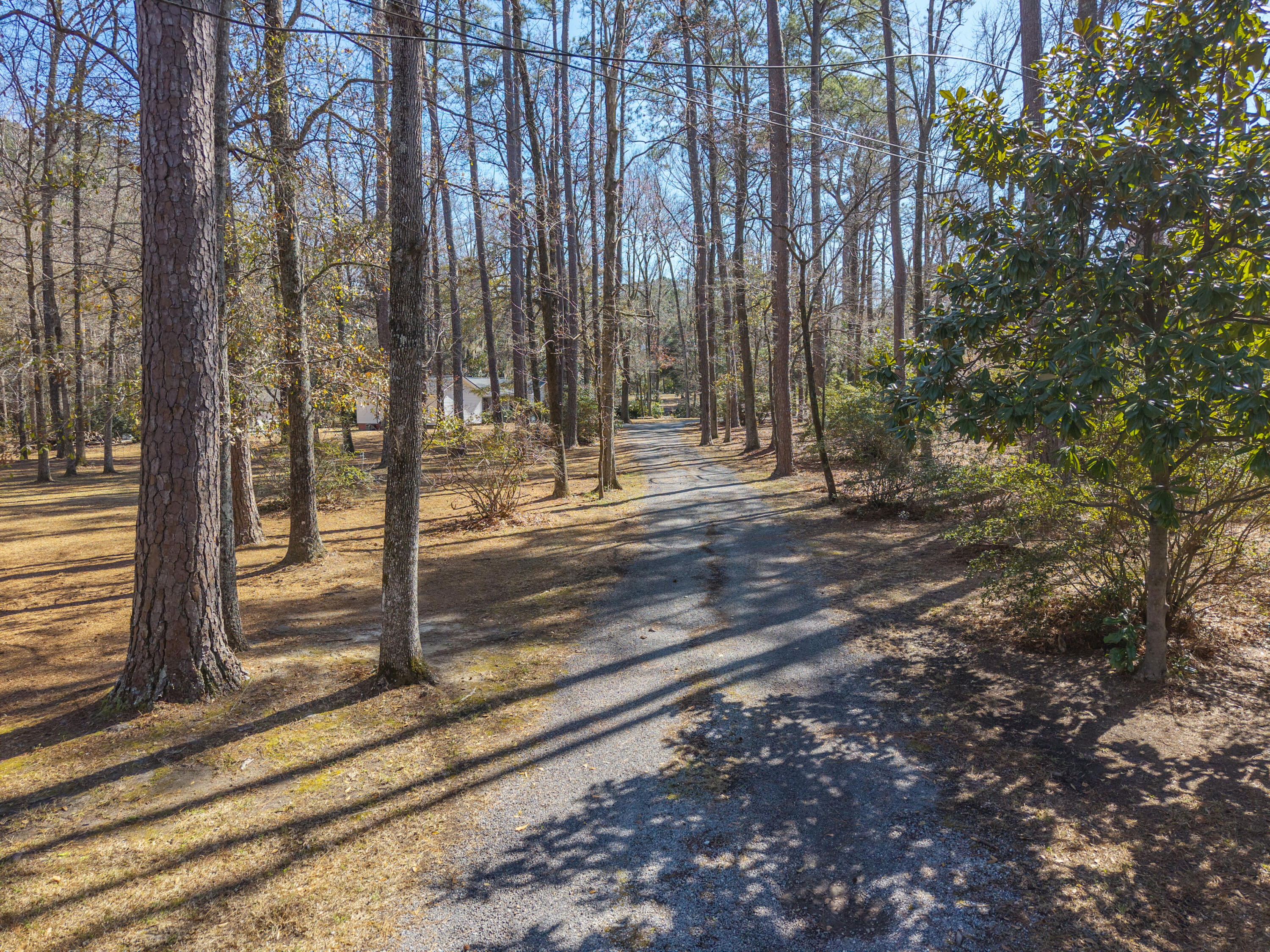 148 Patrick Lane Summerville, SC 29483 - Photo 36 of 48 Zyndicate4119
