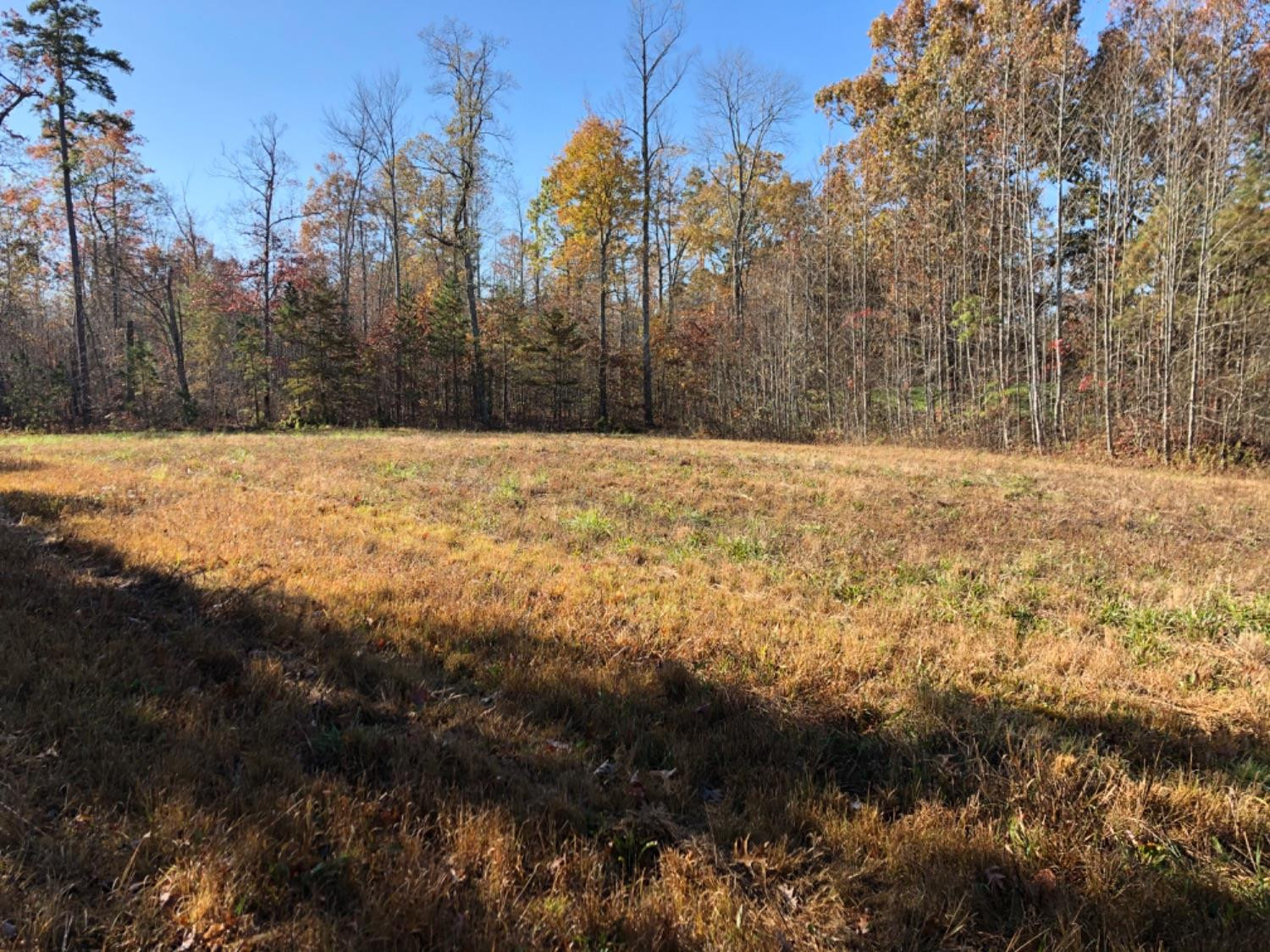 999 Red Davidson Road McKee, KY 40447 - Photo 41 of 45 Photo 41