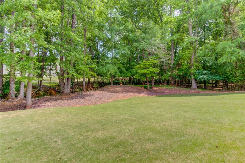 2240 Pear Grove Court Jefferson, GA 30549 - Photo 69 of 85