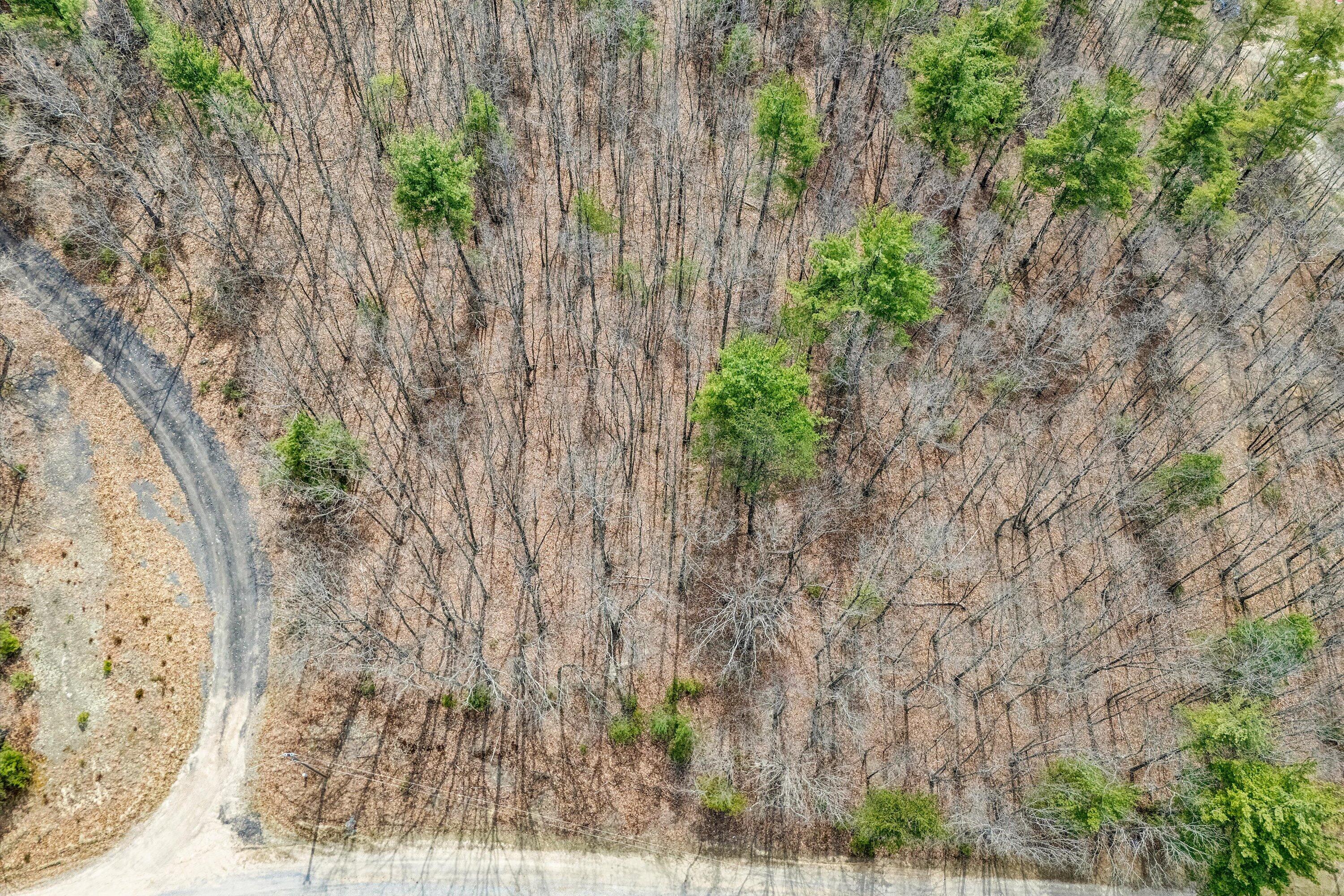 0 Mountain Acres Circle New Castle, VA 24127 - Photo 4 of 11 03-DJI_20250328142759_0215