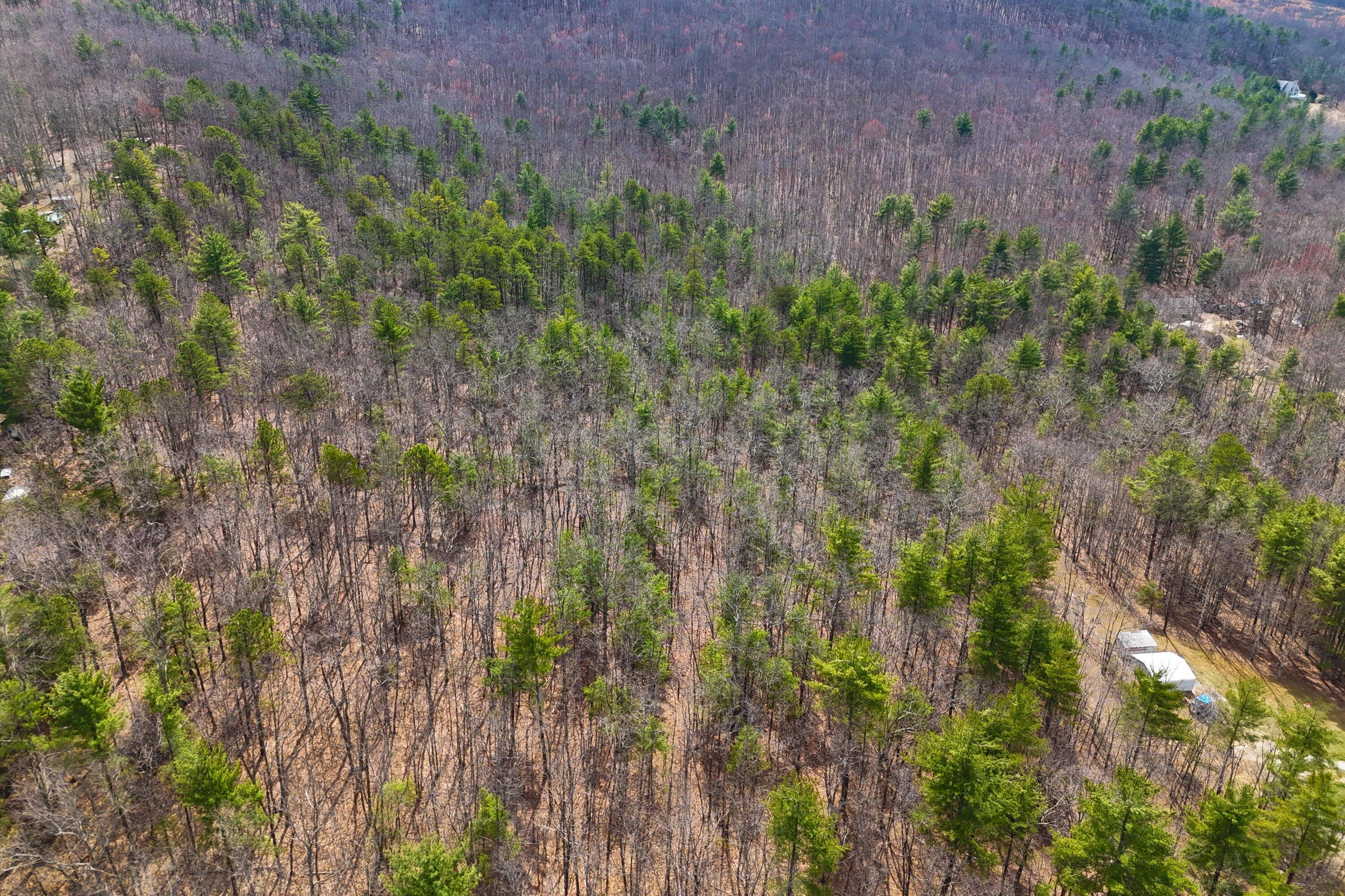 0 Mountain Acres Circle New Castle, VA 24127 - Photo 6 of 11 05-PANO_0001