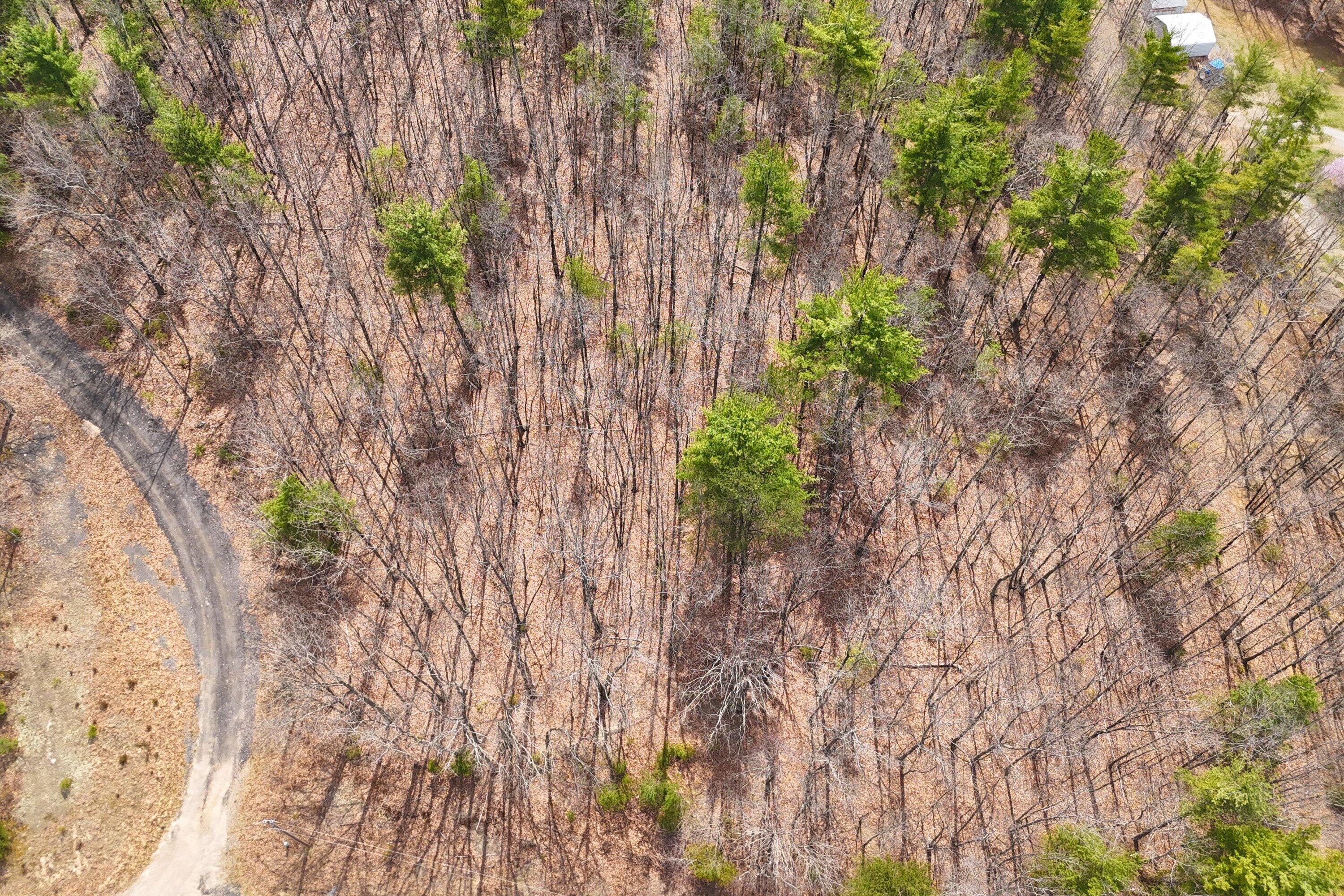 0 Mountain Acres Circle New Castle, VA 24127 - Photo 7 of 11 06-PANO_0004