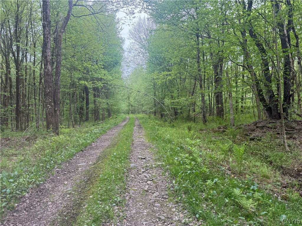 Lot #9 Lost Ridge Road, Unit 9 Camden, NY 13316 - Photo 8 of 27
