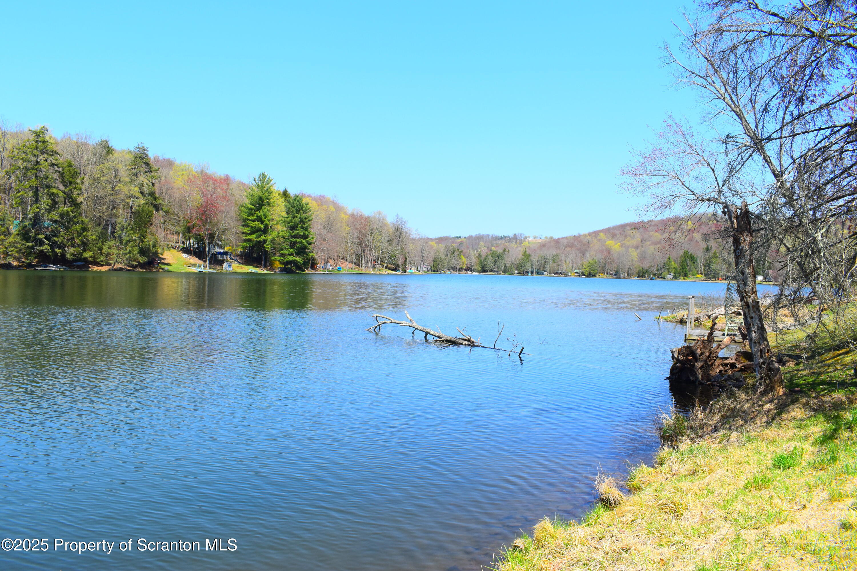 125 Crescent Lake Road Meshoppen, PA 18630 - Photo 5 of 23 Lake