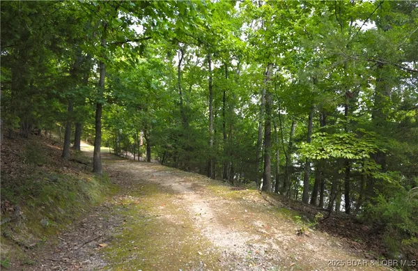 $21,000,000 | 360 Tree Wood Drive, Lake Ozark, MO 65049