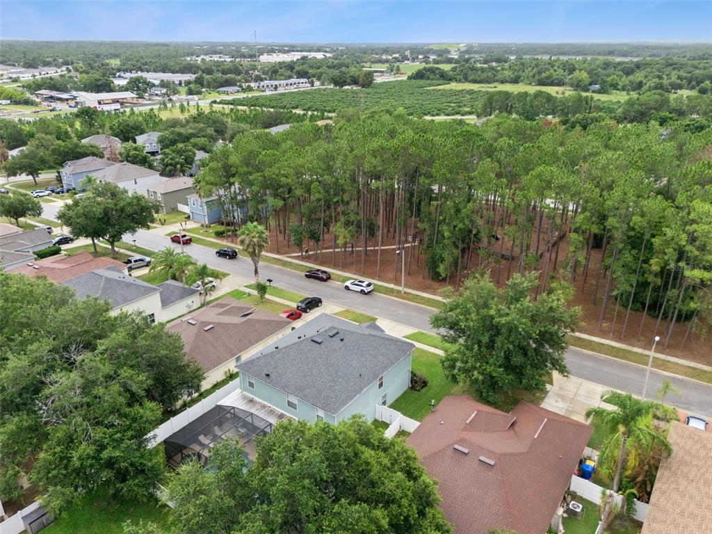 2333 Foxtree Road Tavares, FL 32778 - Photo 43 of 43 Gallery Image 43