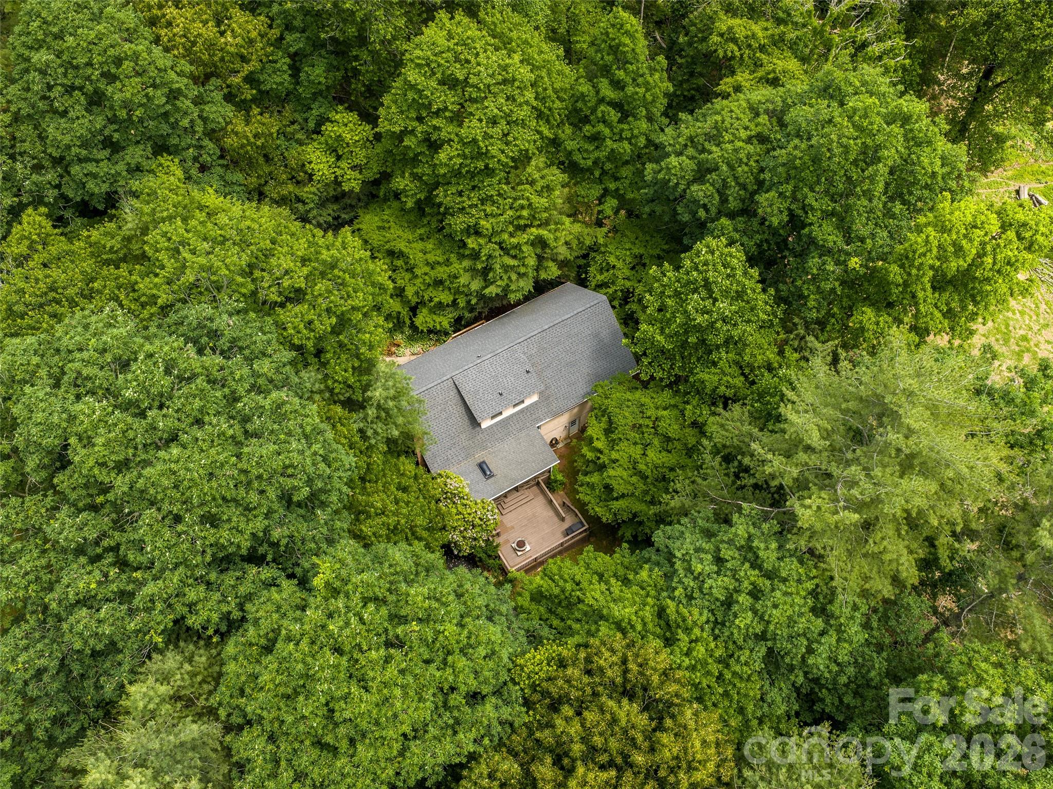 25 Blueberry Lane Fairview, NC 28730 - Photo 47 of 48