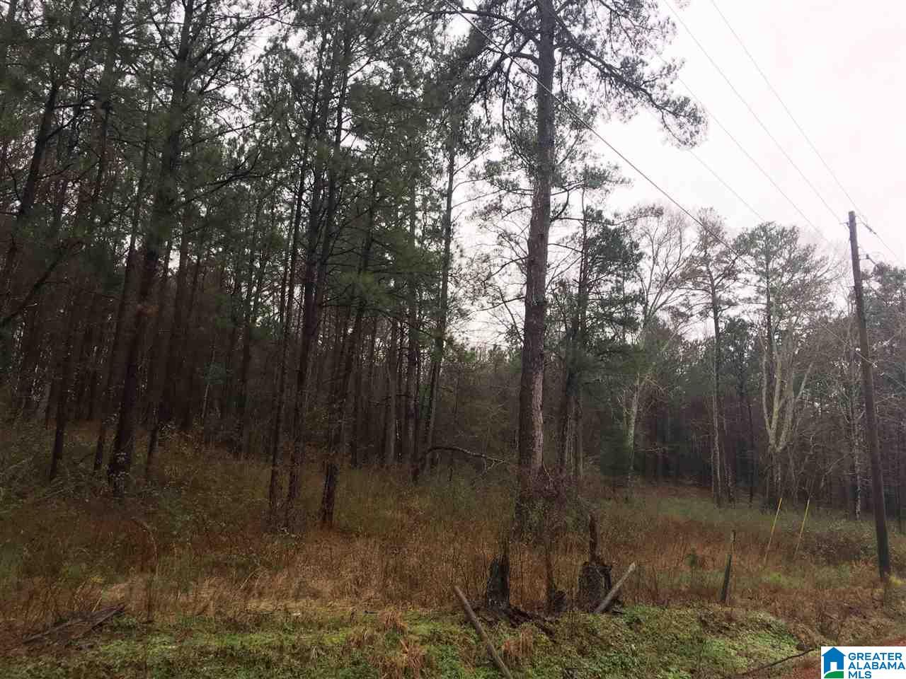 1245 Eureka Road, Unit 2 Lincoln, AL 35096 - Photo 2 of 32