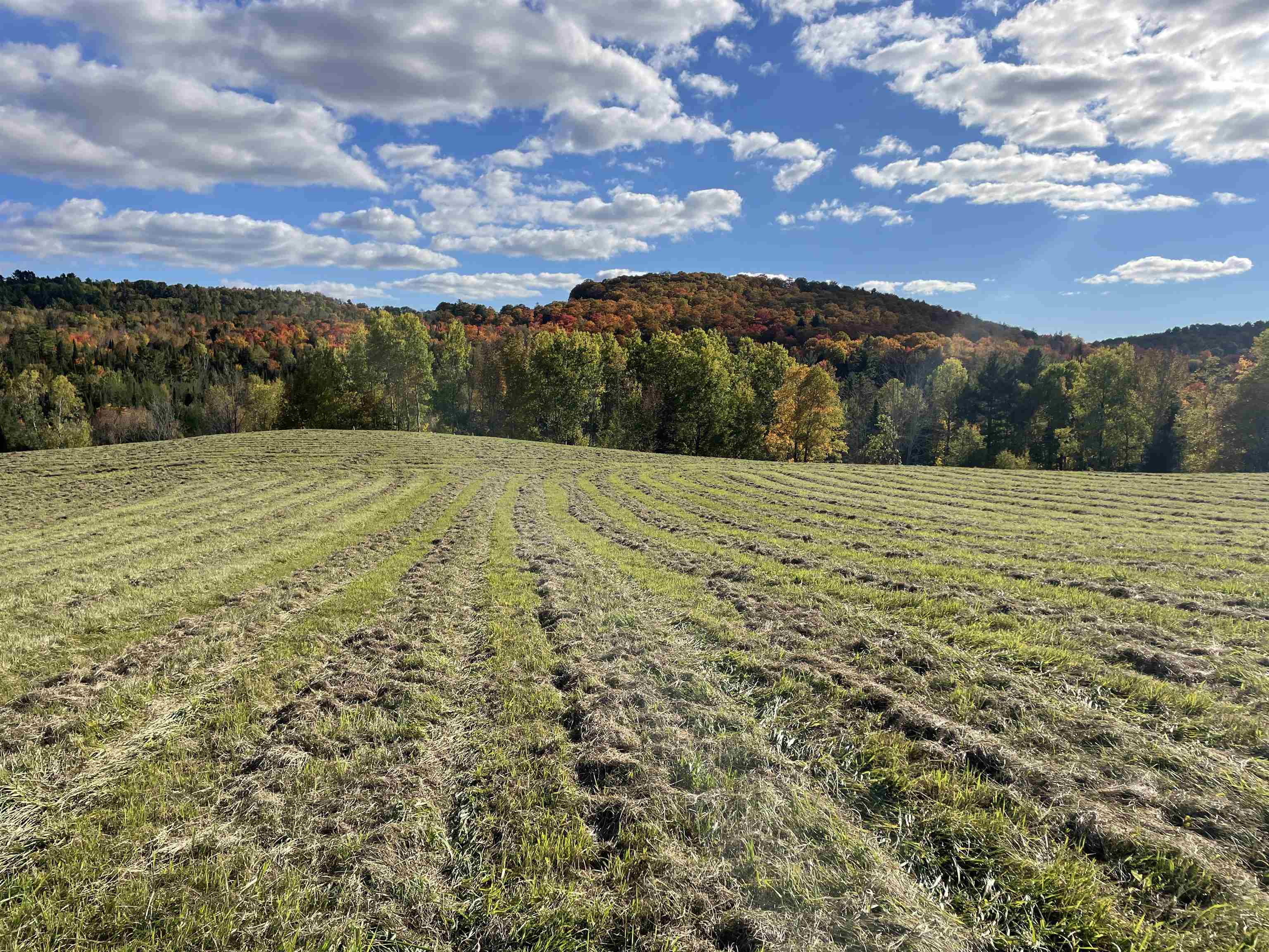 787 Parker Road Danville, VT 05828 - Photo 27 of 34 Gallery Image 27