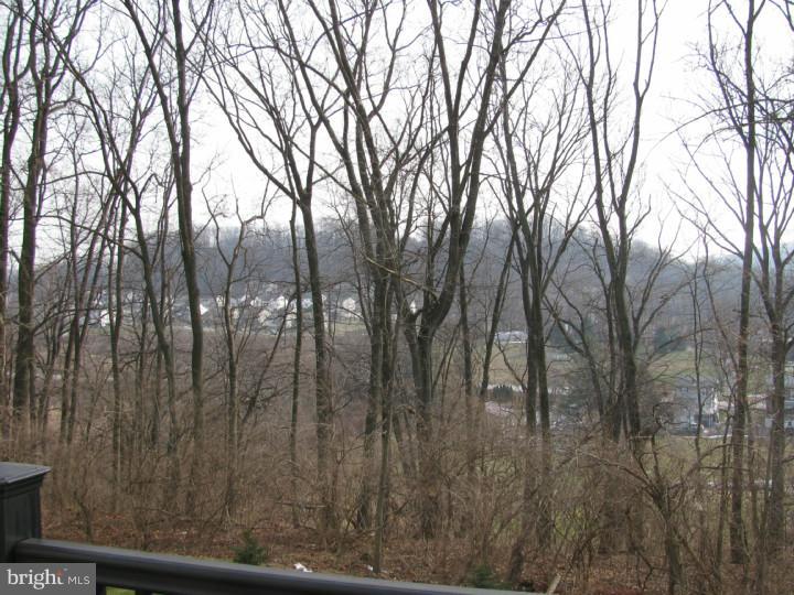 216 Longview Drive Sinking Spring, PA 19608 - Photo 5 of 18