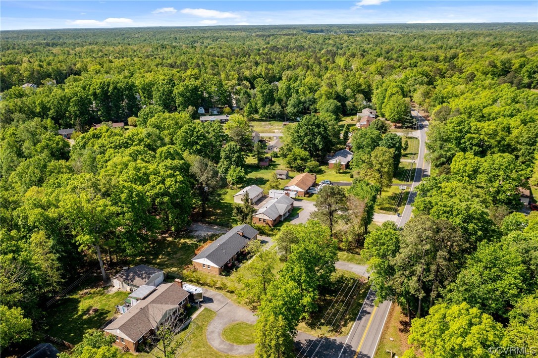 5525 Qualla Road Chesterfield, VA 23832 - Photo 10 of 50 a view of a forest with a yard