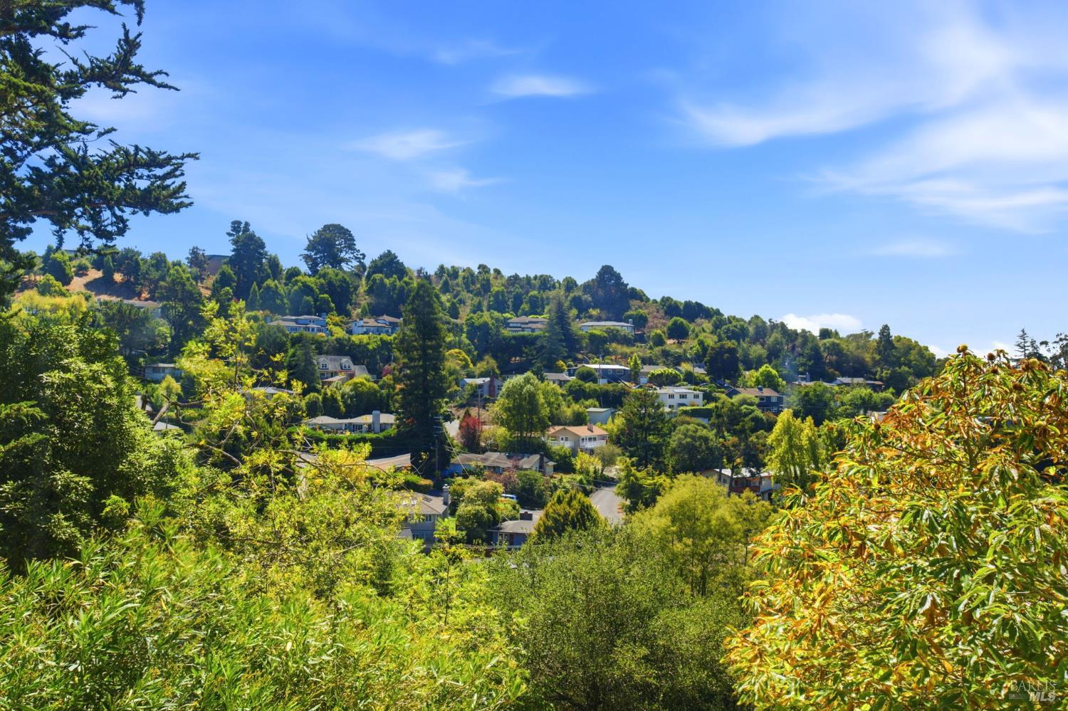 40 South Knoll Road Mill Valley, CA 94941 - Photo 27 of 31 Gallery Image 27