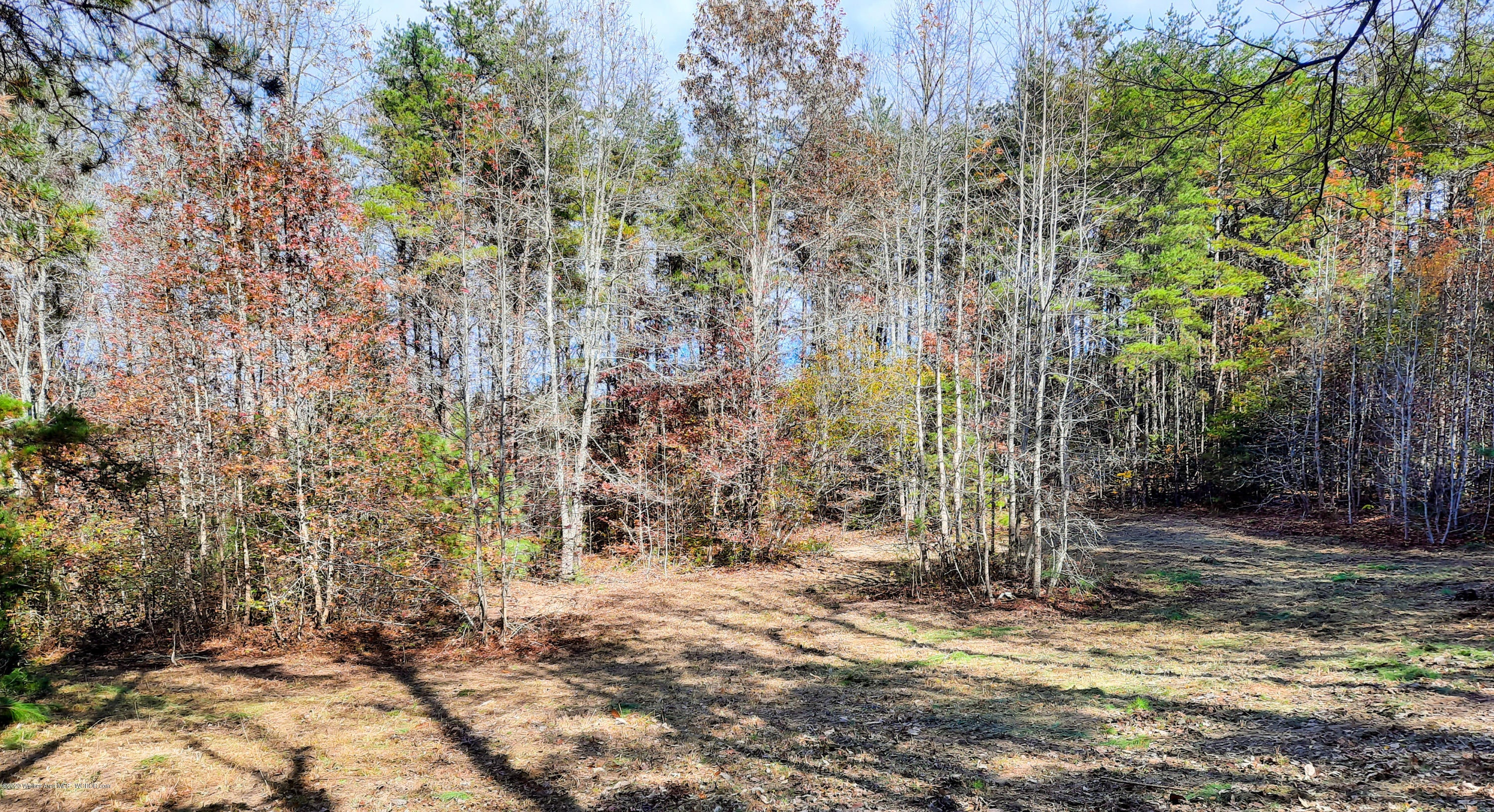 3436 County Road Haleyville, AL 35565 - Photo 1 of 8 Gallery Image 1