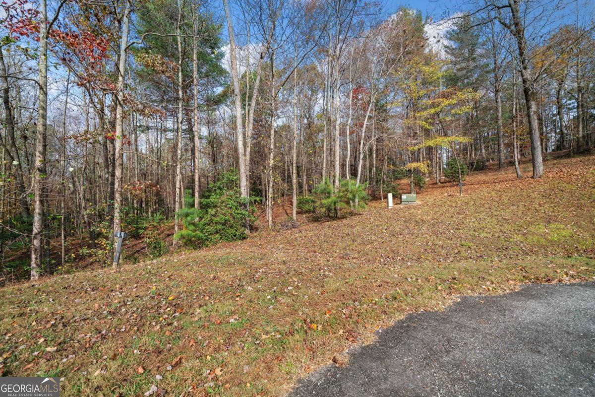 Lot 15 Highpoint Ridge Ellijay, GA 30536 - Photo 4 of 14