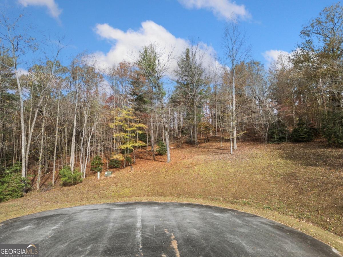 Lot 15 Highpoint Ridge Ellijay, GA 30536 - Photo 5 of 14