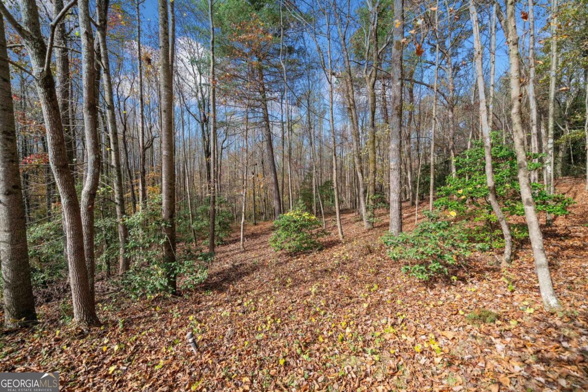 Lot 15 Highpoint Ridge Ellijay, GA 30536 - Photo 6 of 14