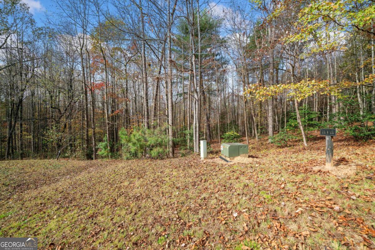 Lot 15 Highpoint Ridge Ellijay, GA 30536 - Photo 7 of 14