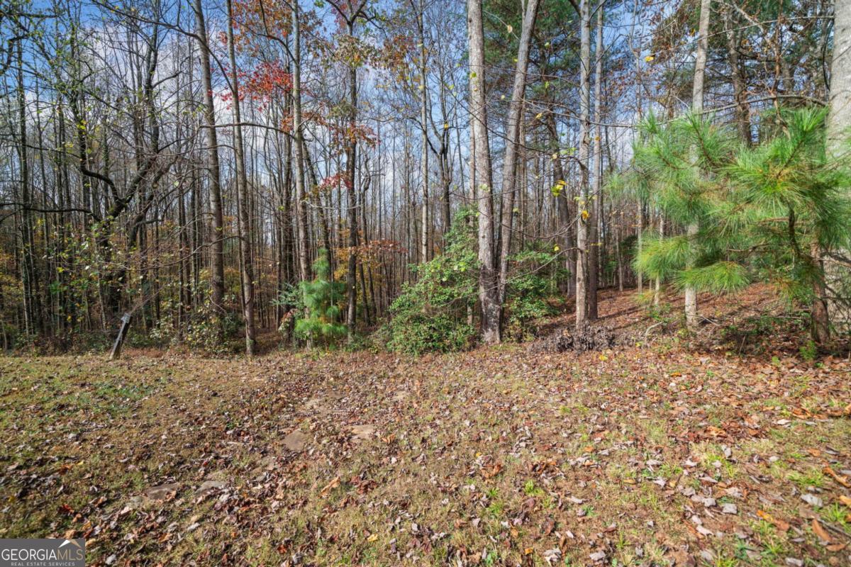 Lot 15 Highpoint Ridge Ellijay, GA 30536 - Photo 8 of 14