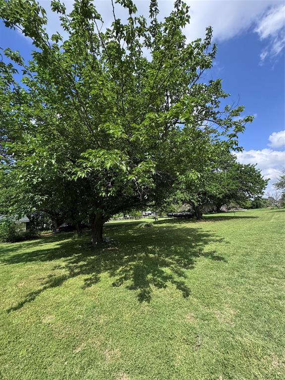 806 Old Base Road Aurora, TX 76078 - Photo 6 of 23 a view of a trees in a yard