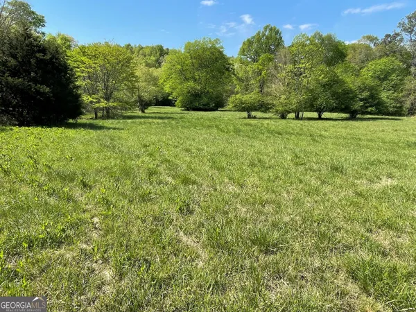 a view of a grassy field with trees in the background