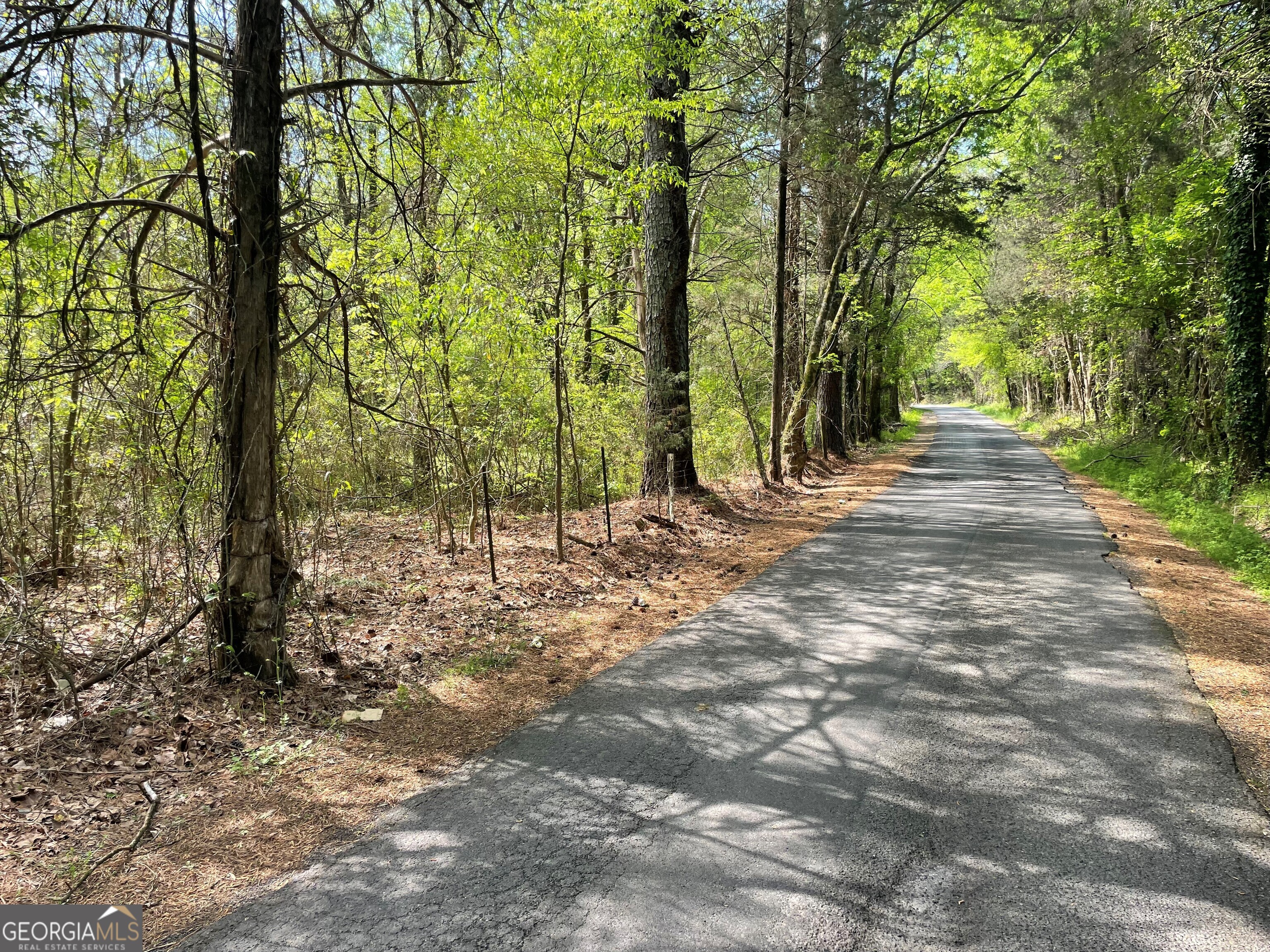 0 New Mathis Road Rome, GA 30161 - Photo 4 of 13 a view of outdoor space with trees